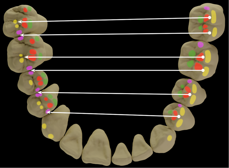 Datei:Ls5 2 verzahnung uk ok(1).png