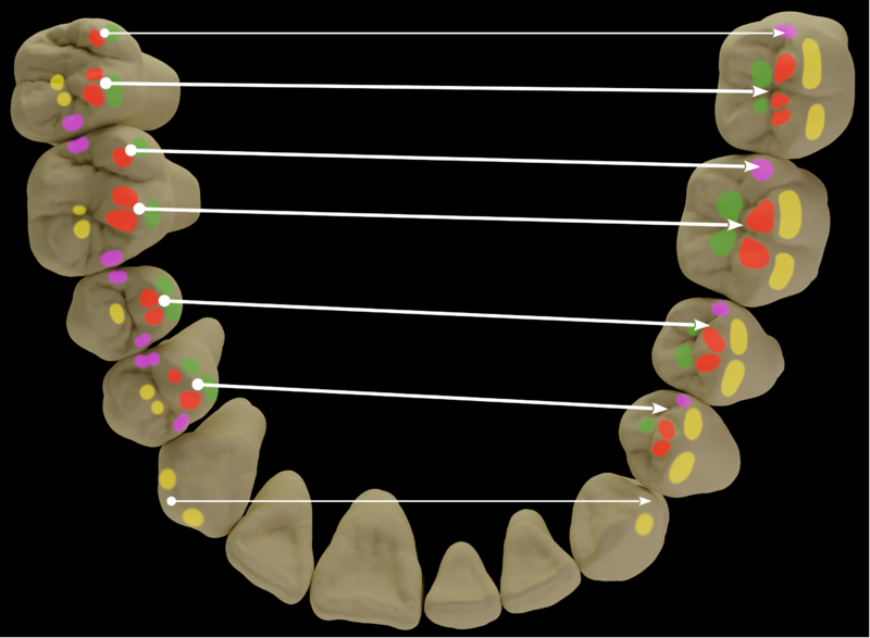 Datei:Ls5 2 verzahnung ok uk(3).png