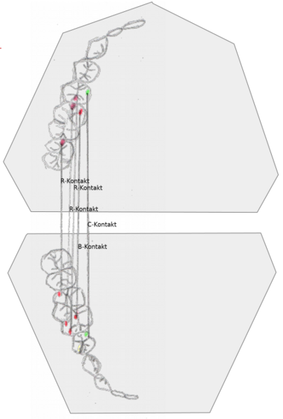 Datei:Ls5 2 lev 3 kontakte.png